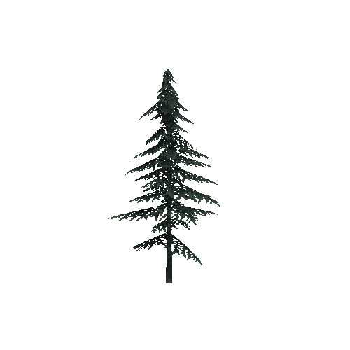 ConiferTreeSmall03LOD3 (TVE Backup)